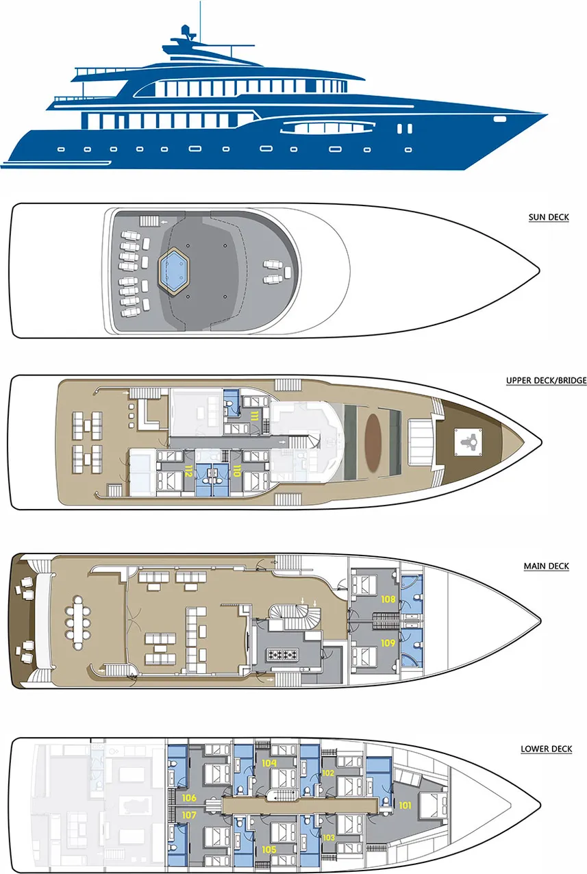 disposizione del ponte