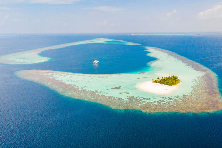 Blue Force One, Maldives - LiveAboard.com