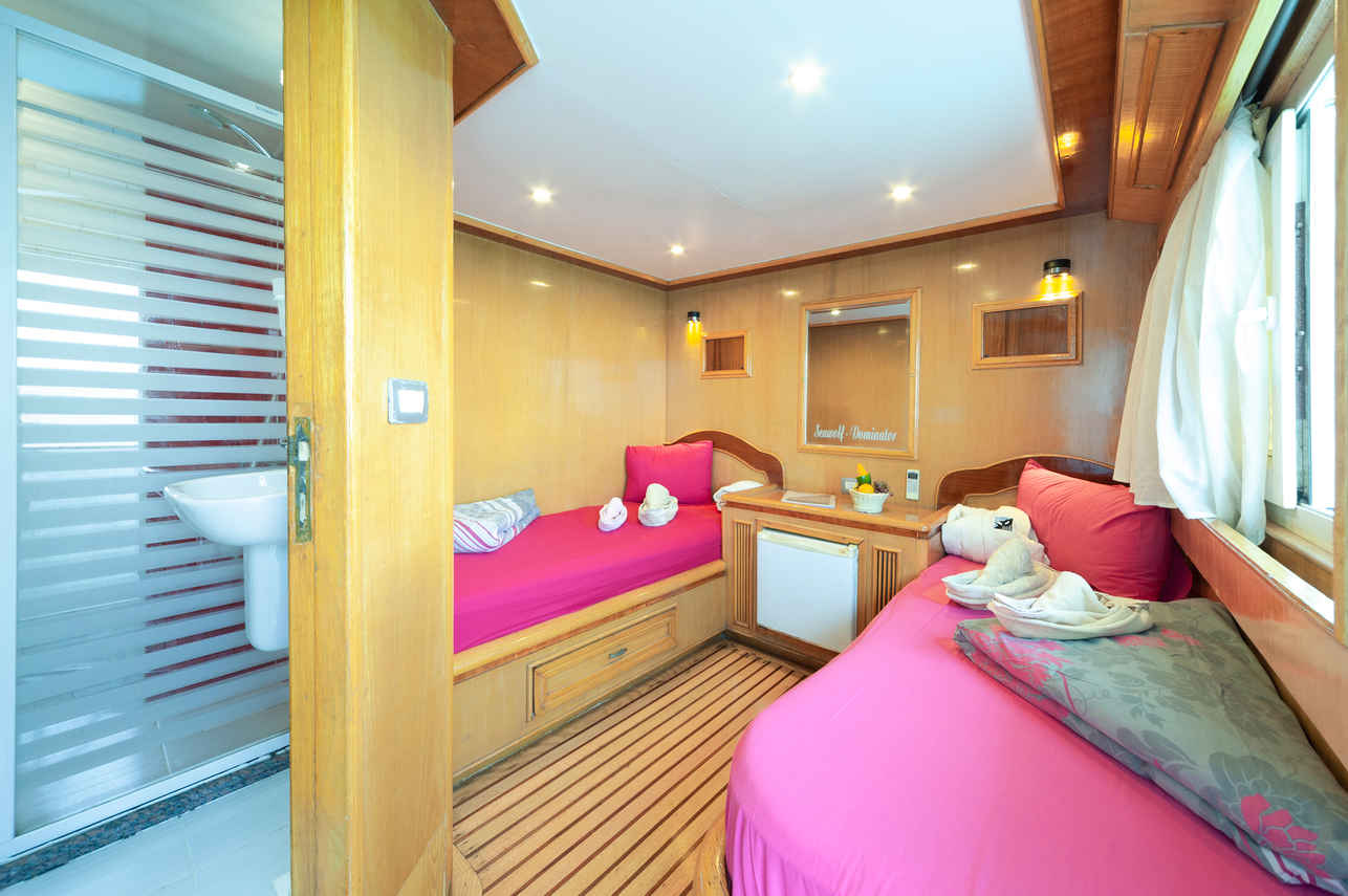 Cabina twin  - Seawolf Dominator