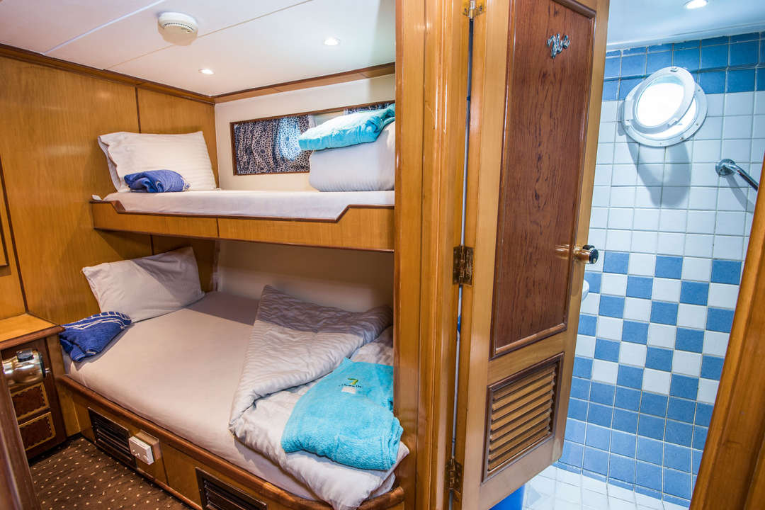 Bunk