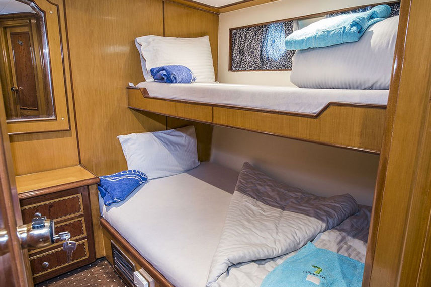 Bunk Cabin