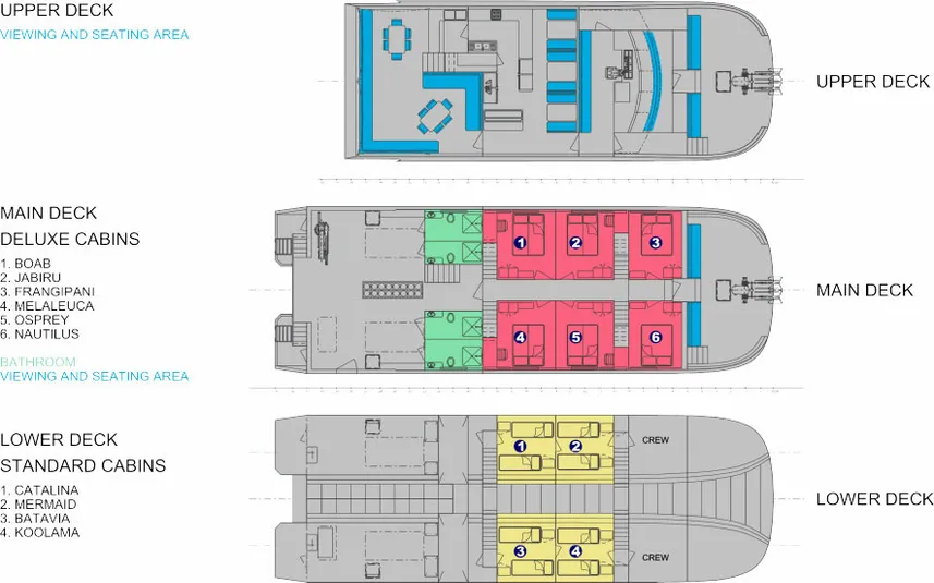 disposizione del ponte