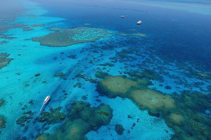 Stunning Reefs - Rowley Shoals Australia