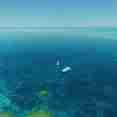 Rowley Shoals