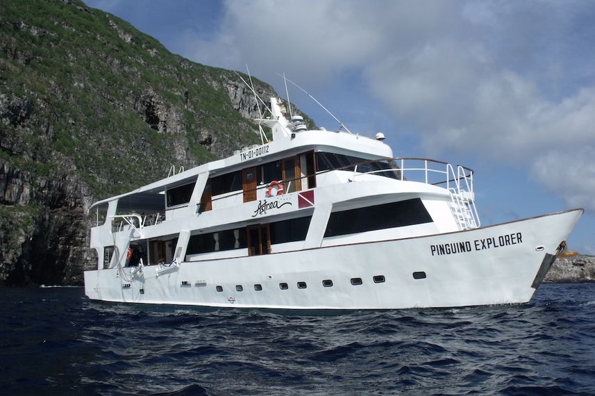 Astrea Galapagos