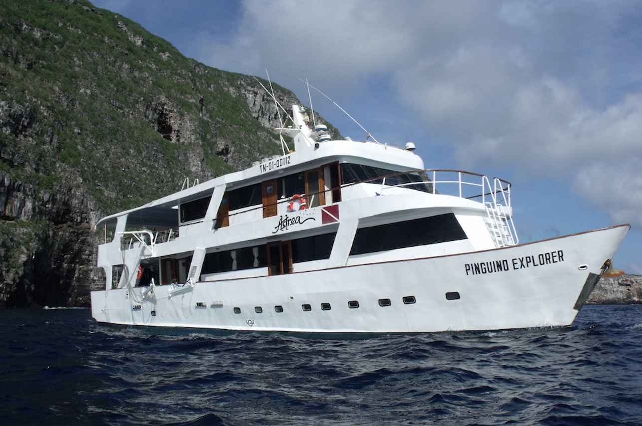 Astrea Galapagos
