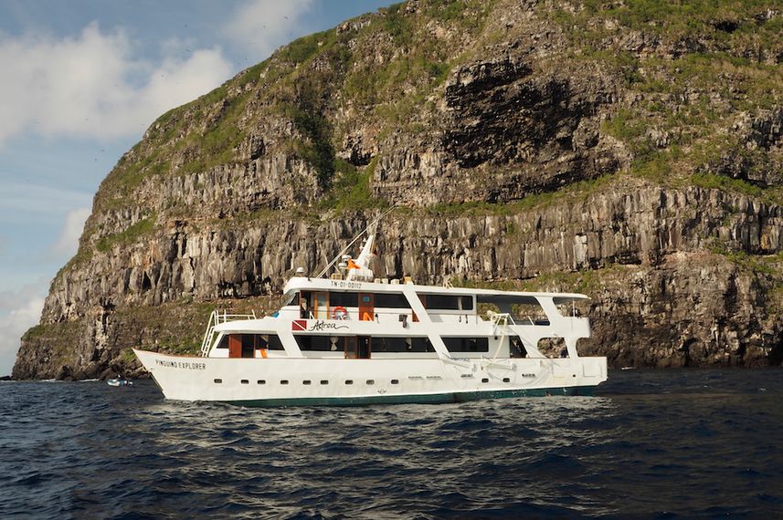 Astrea Galapagos