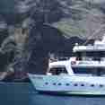Astrea Galapagos