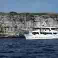 Astrea Galapagos