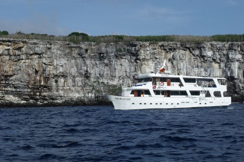 Astrea Galapagos