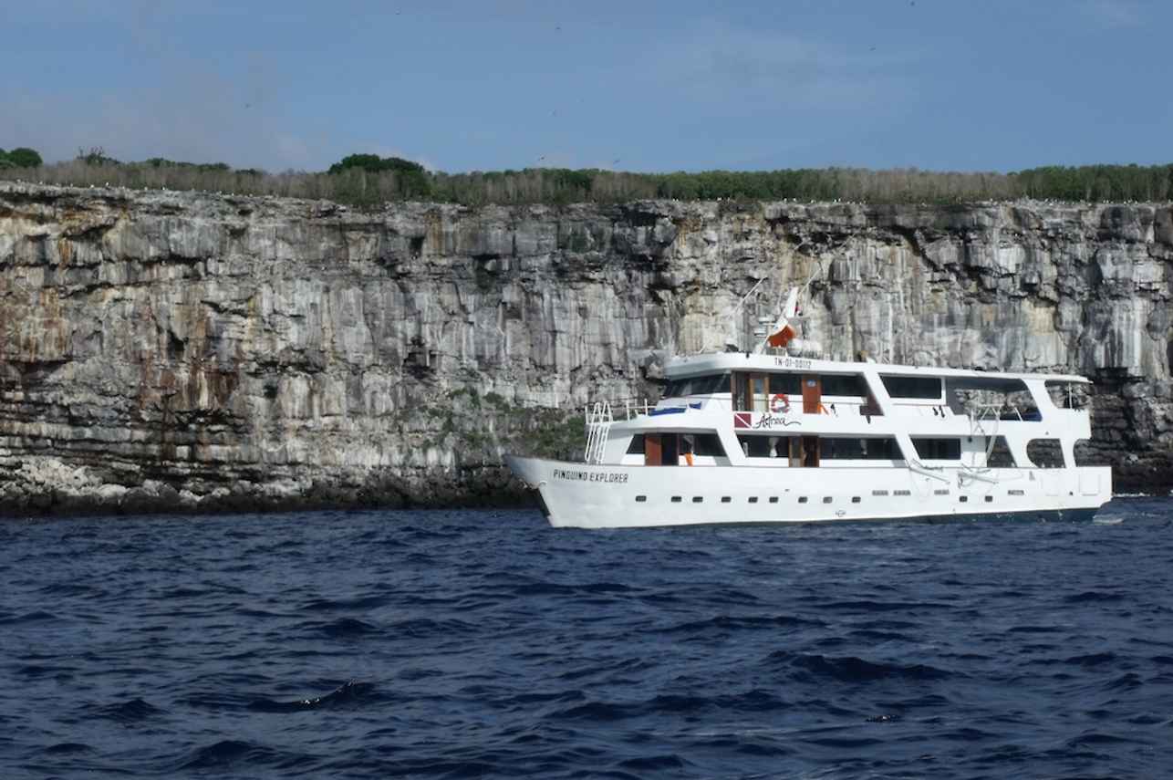 Astrea Galapagos