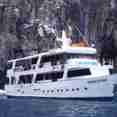 Astrea Galapagos
