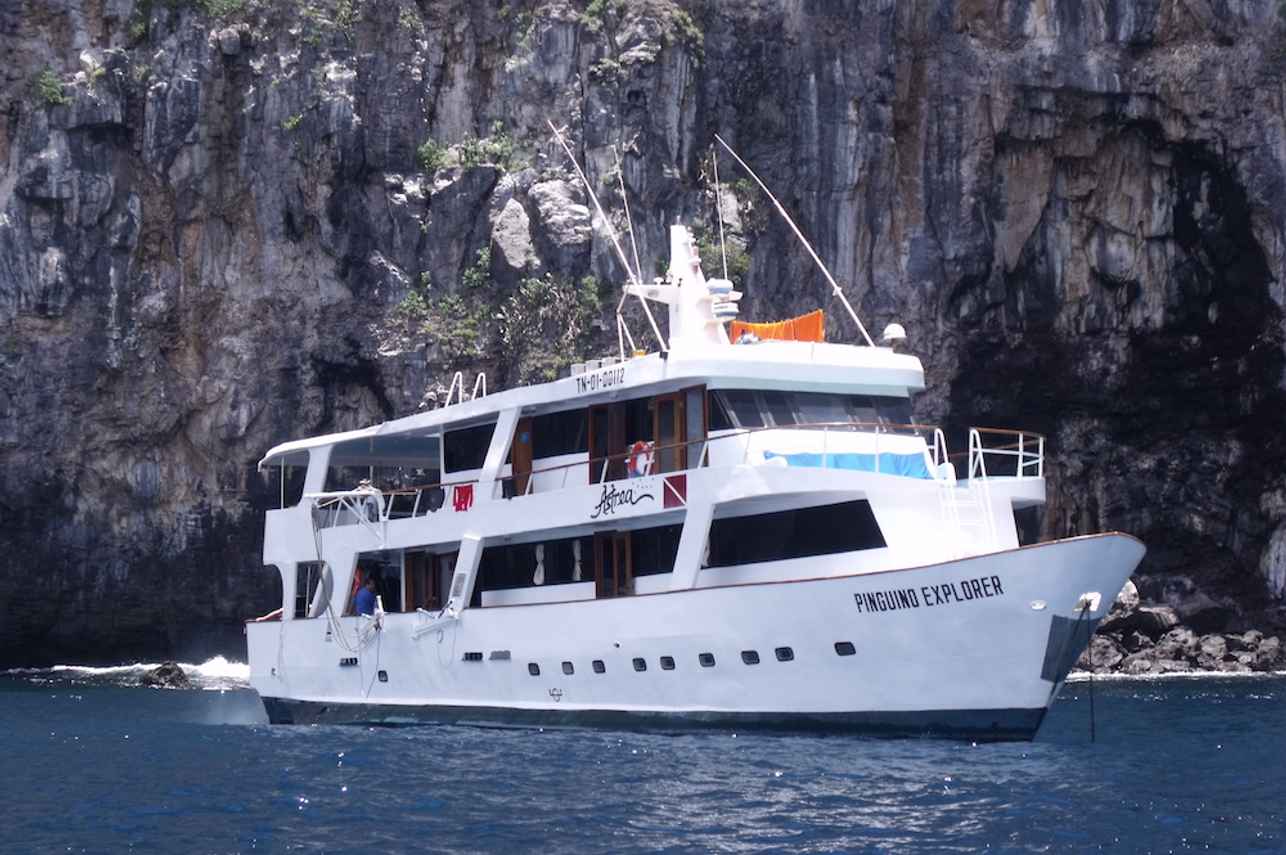 Astrea Galapagos