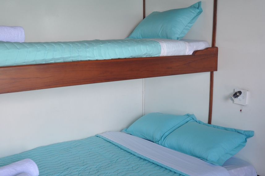 Twin Cabin - Astrea Galapagos