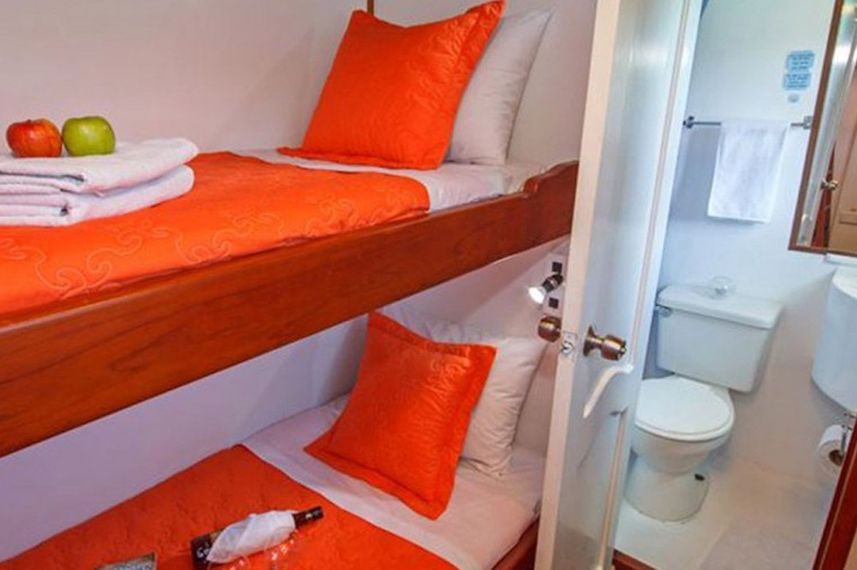 Twin Cabin - Astrea Galapagos