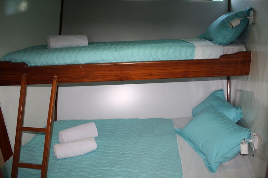 Twin Cabin - Astrea Galapagos
