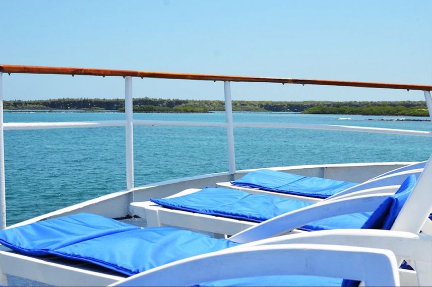 Sun Loungers - Astrea Galapagos