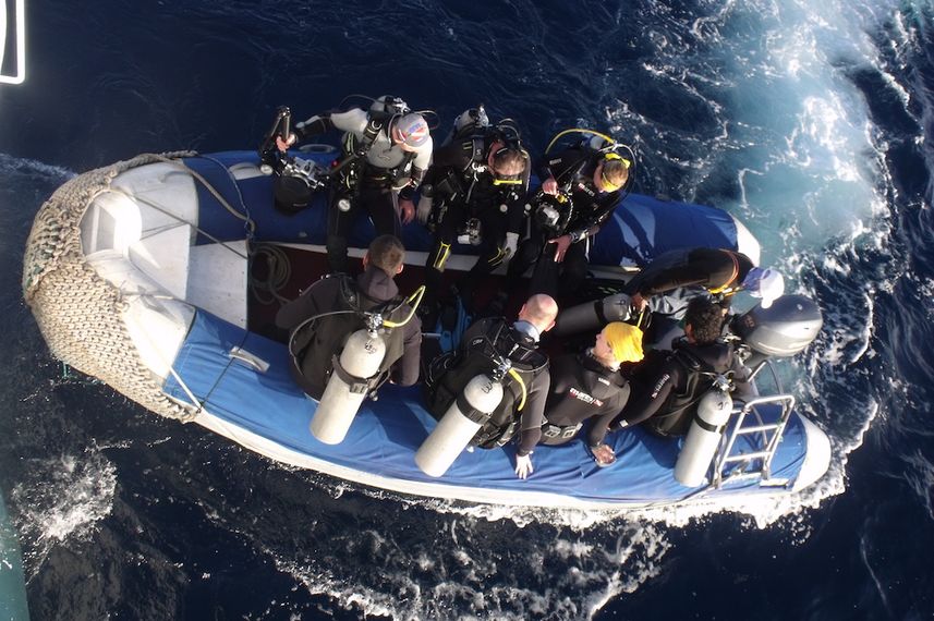 Dive Tender - Astrea Galapagos