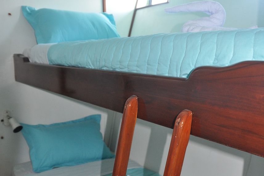 Twin Cabin - Astrea Galapagos