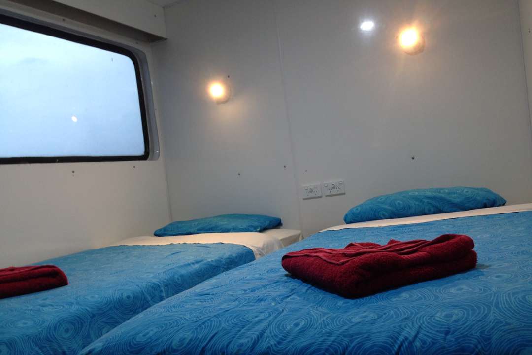 Twin Cabin