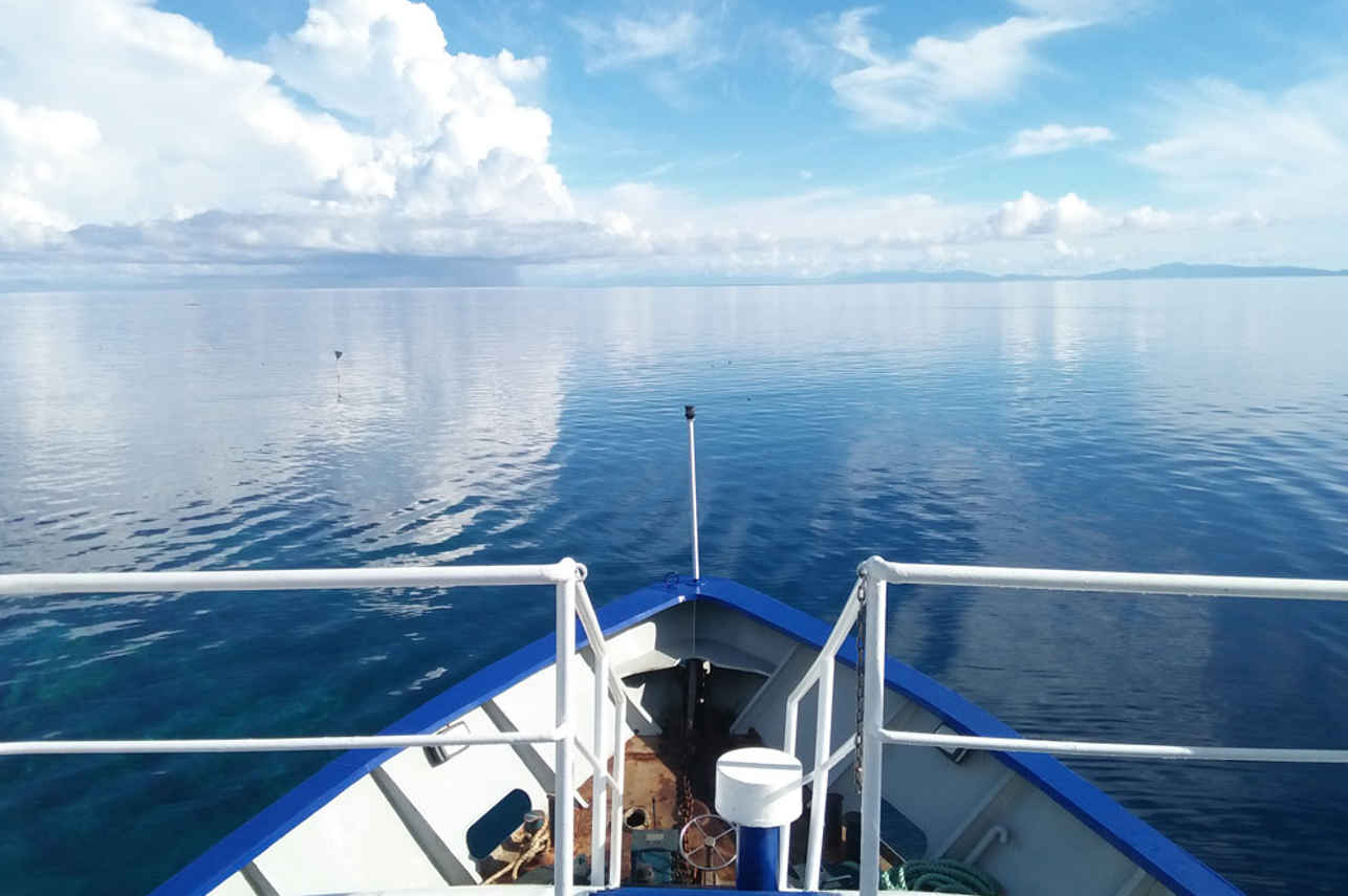 Spirit of Niugini