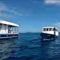 M/V Sea Spirit Diving Dhoni