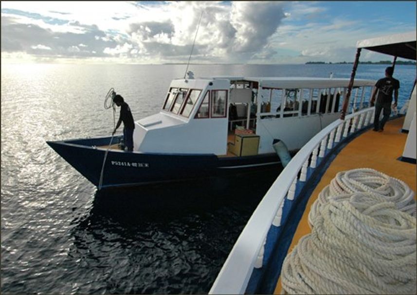 M/V Sea Spirit Diving Dhoni