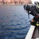 Diving from the Norseman Liveaboard