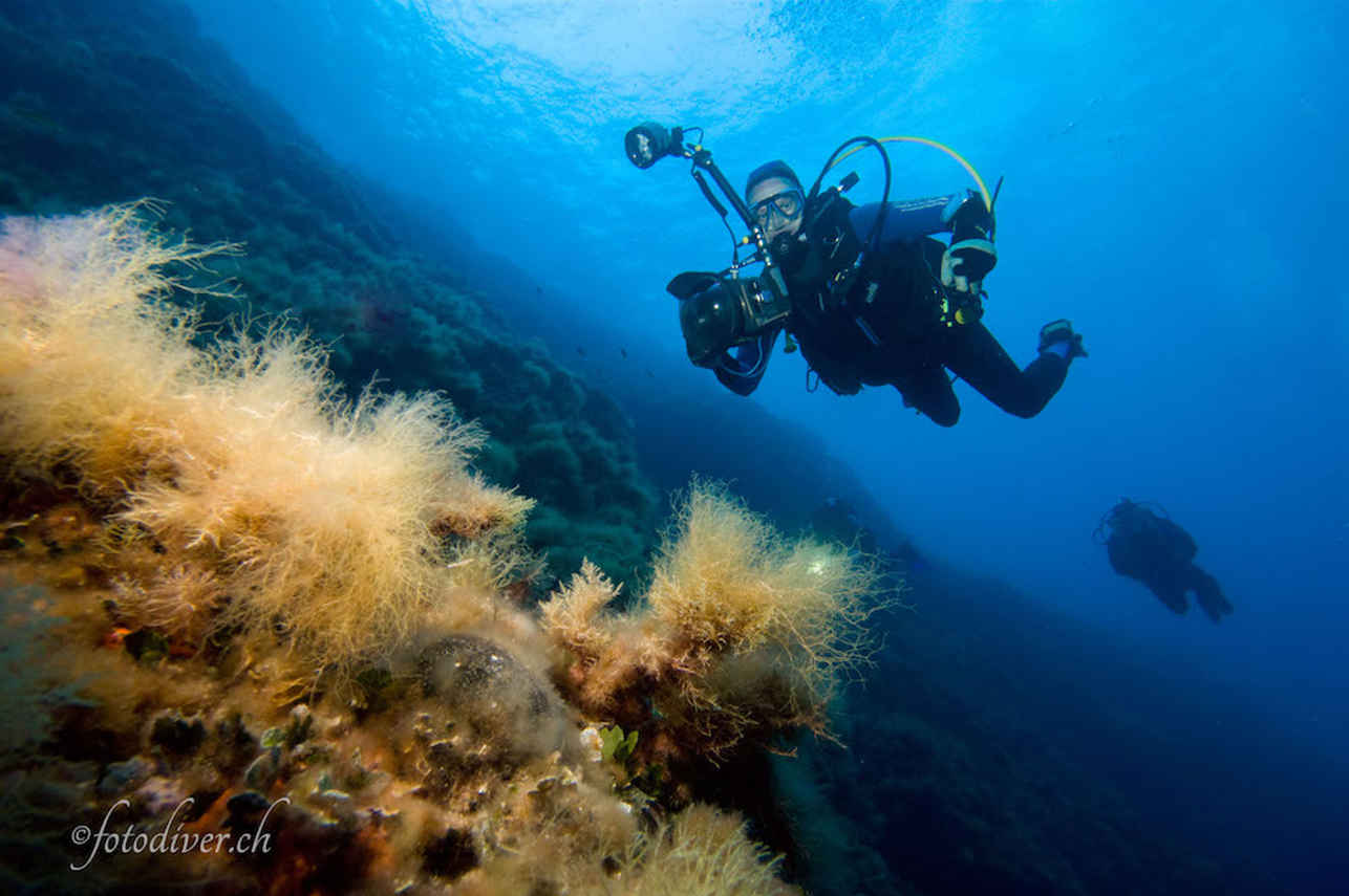 Diving in Italy