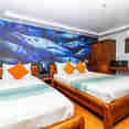 #standardcabin  - Carpe Novo
