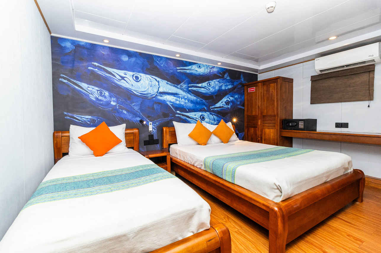 #standardcabin  - Carpe Novo