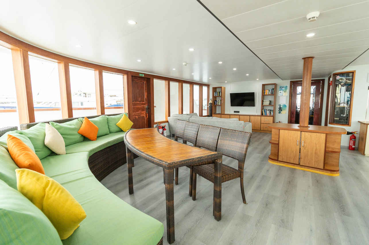 Salon interior - Carpe Novo