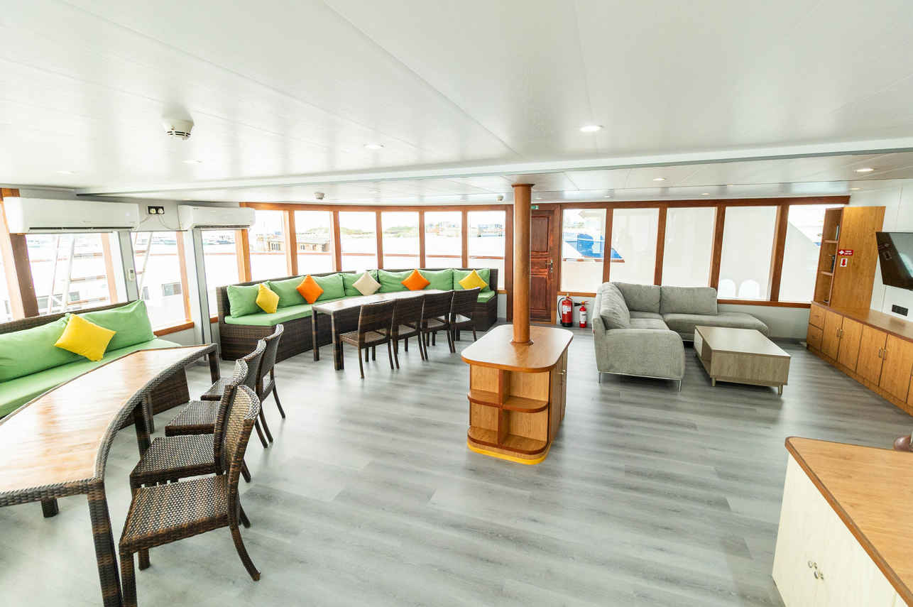 Salon interior - Carpe Novo