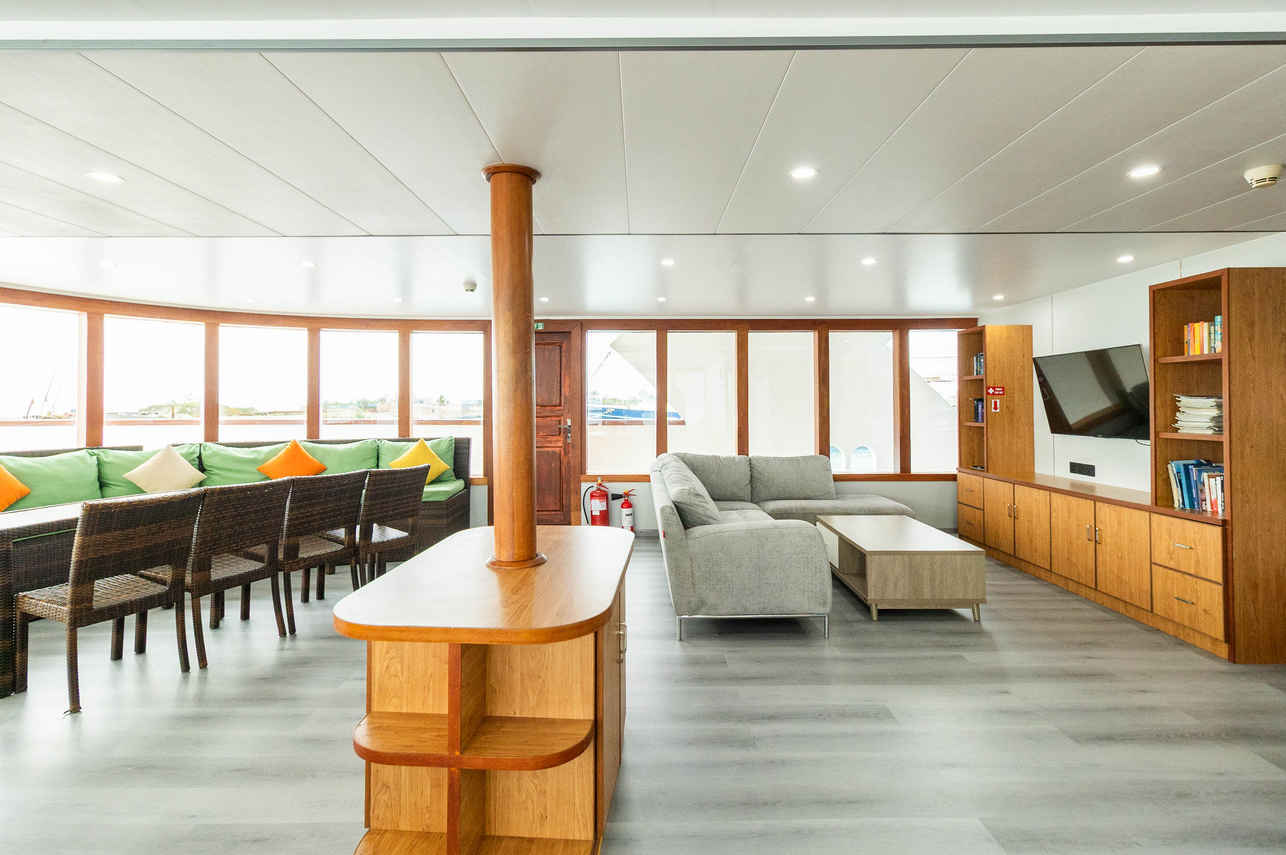 Salon interior - Carpe Novo