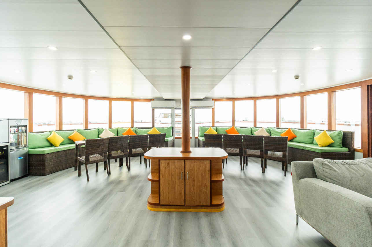 Salon interior - Carpe Novo