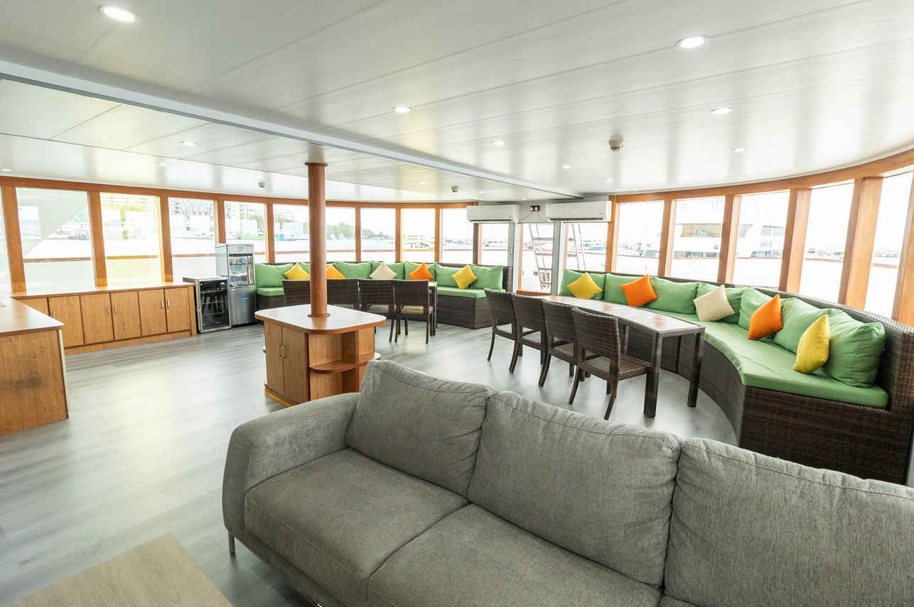 Salon interior - Carpe Novo