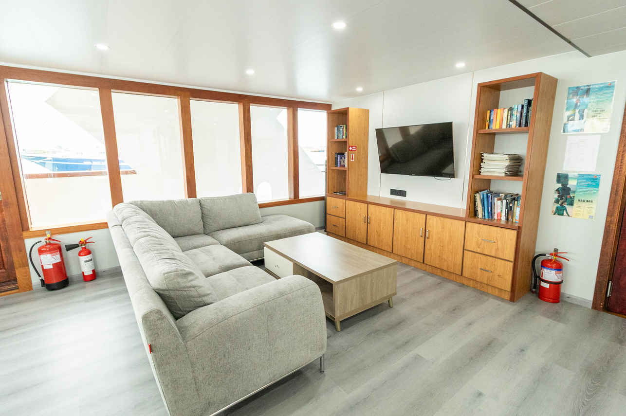 Salon interior - Carpe Novo