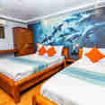 #standardcabin  - Carpe Novo