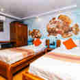 #standardcabin  - Carpe Novo