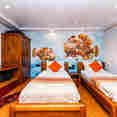 #standardcabin  - Carpe Novo