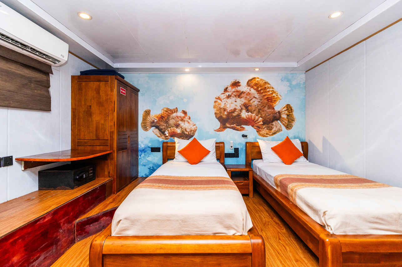 #standardcabin  - Carpe Novo