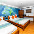 #standardcabin  - Carpe Novo