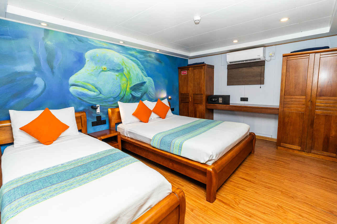 #standardcabin  - Carpe Novo