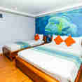 #standardcabin  - Carpe Novo