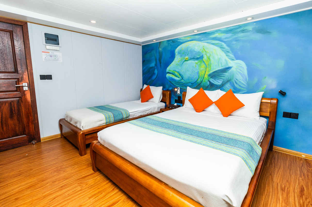 #standardcabin  - Carpe Novo