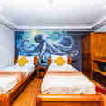 #standardcabin  - Carpe Novo