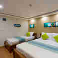 Standard Cabin - Carpe Novo