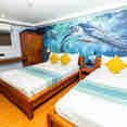 #standardcabin  - Carpe Novo