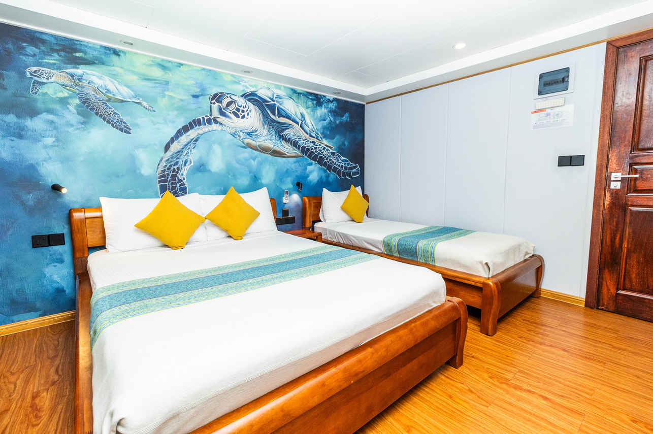 #standardcabin  - Carpe Novo
