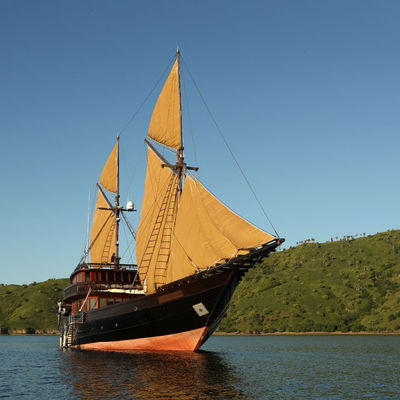 Alila Purnama Croisière plongée, Indonésie